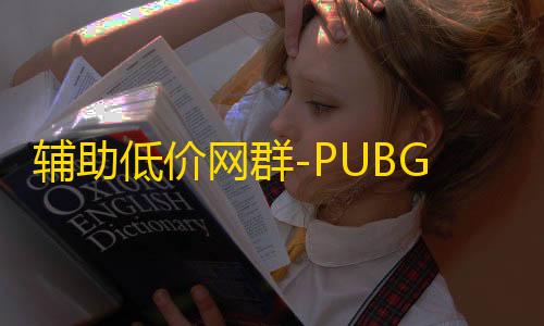 三角洲手机透视挂辅助低价网群-PUBG辅助低价网